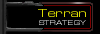 Terran Strategy