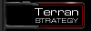Terran Strategy