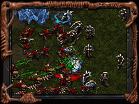 Hydralisks, Zerglings and Zealots Clash
